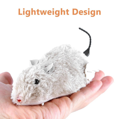 Interactief Muizenspeeltje