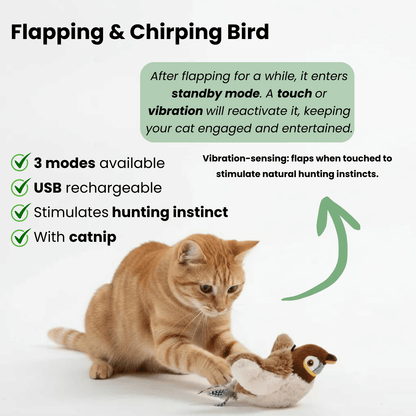 Interactief Speelgoed Kat – Knuffel Kat Simulatie Vogel Speelgoed Met Geluid en Beweging