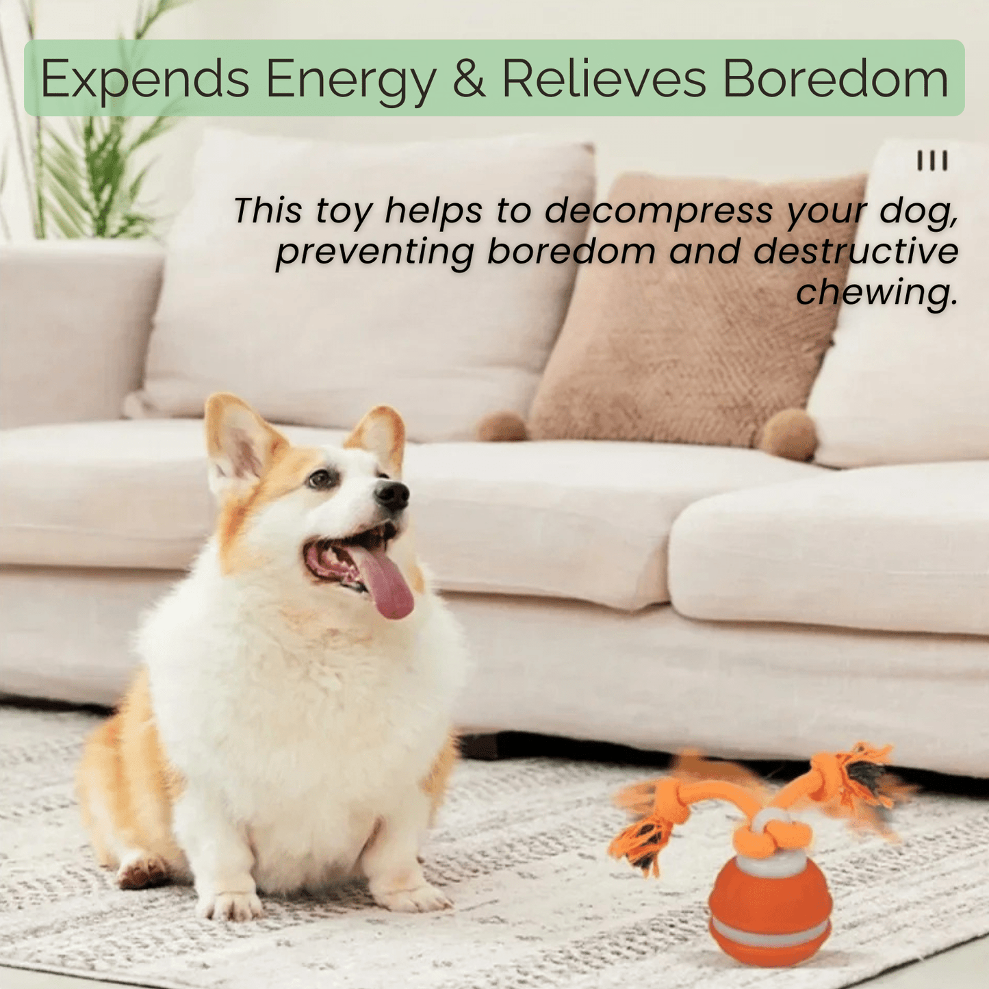 Interactieve Automatische Speelbal voor Honden