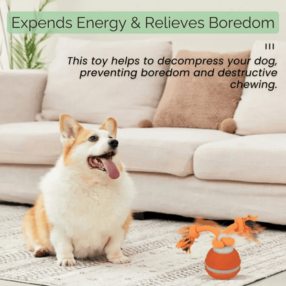 Interactieve Automatische Speelbal voor Honden