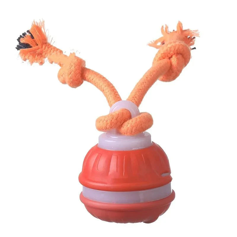 Interactieve Automatische Speelbal voor Honden