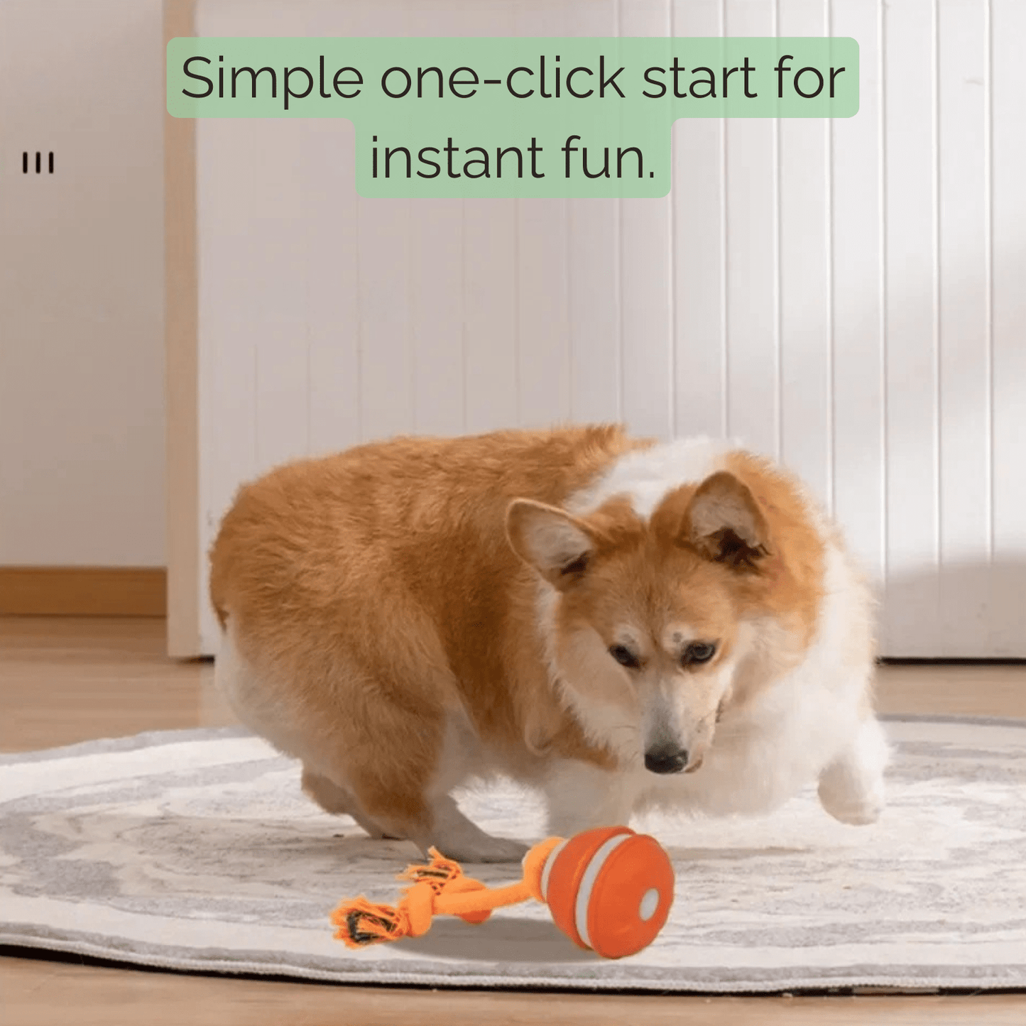 Interactieve Automatische Speelbal voor Honden