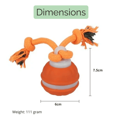 Interactieve Automatische Speelbal voor Honden