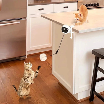 Interactieve Elektrische Kattenliftbal