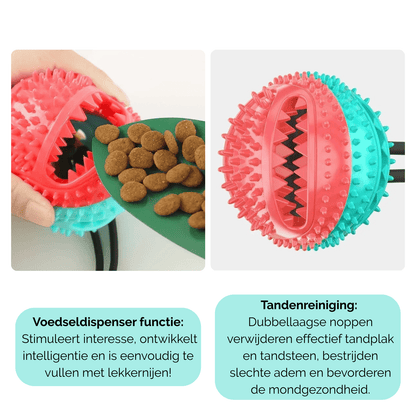 Interactieve Hondenbal met Zuignap & Touw