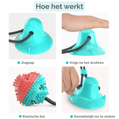 Interactieve Hondenbal met Zuignap & Touw