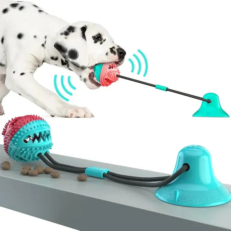 Interactieve Hondenbal met Zuignap & Touw
