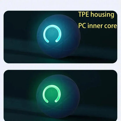 Interactieve Trillende Hondenspeelbal
