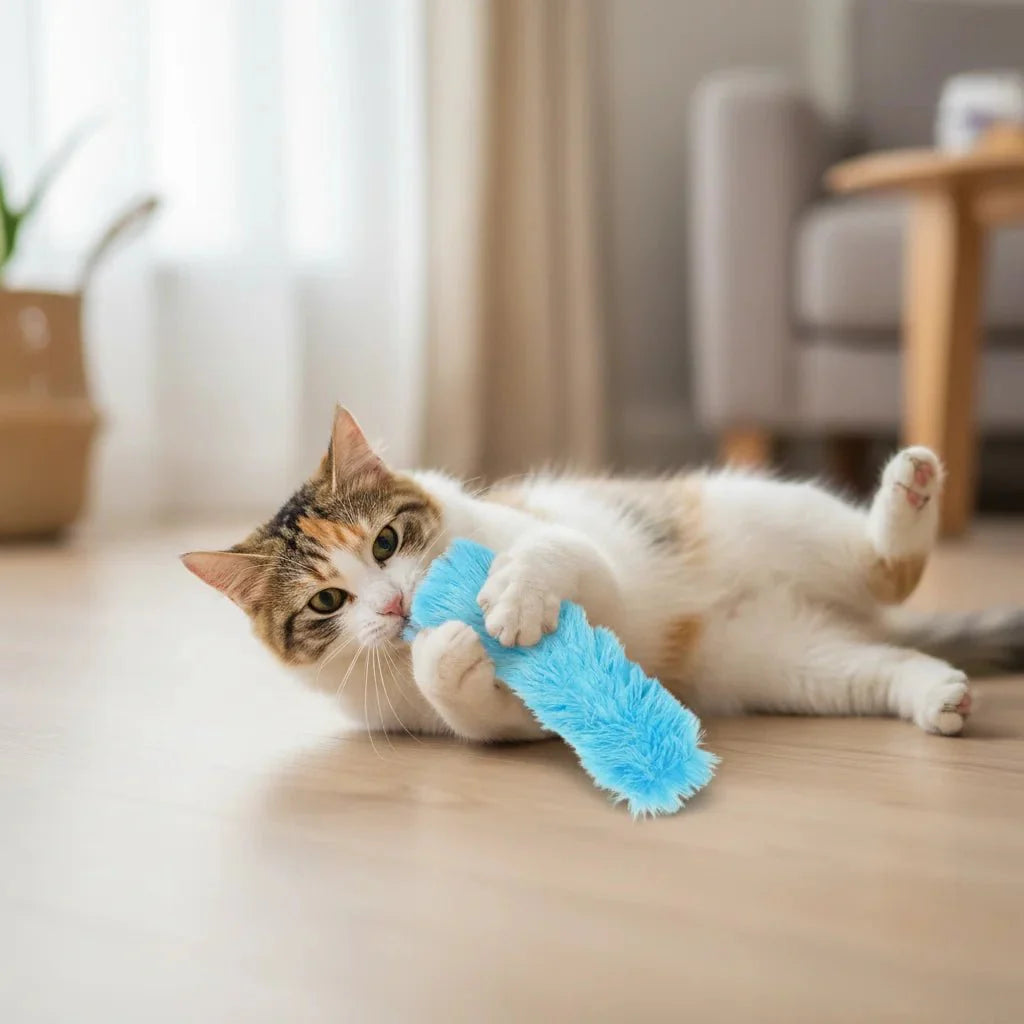 Kattenkruid Speelgoed Kat – Zachte Knuffel Kat met Catnip - 4 Pack