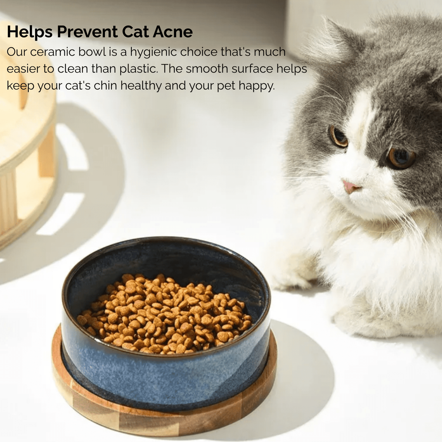 Keramische Honden- en Kattenvoerbak