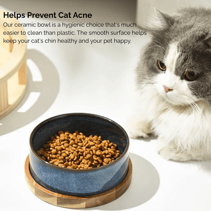 Keramische Honden- en Kattenvoerbak