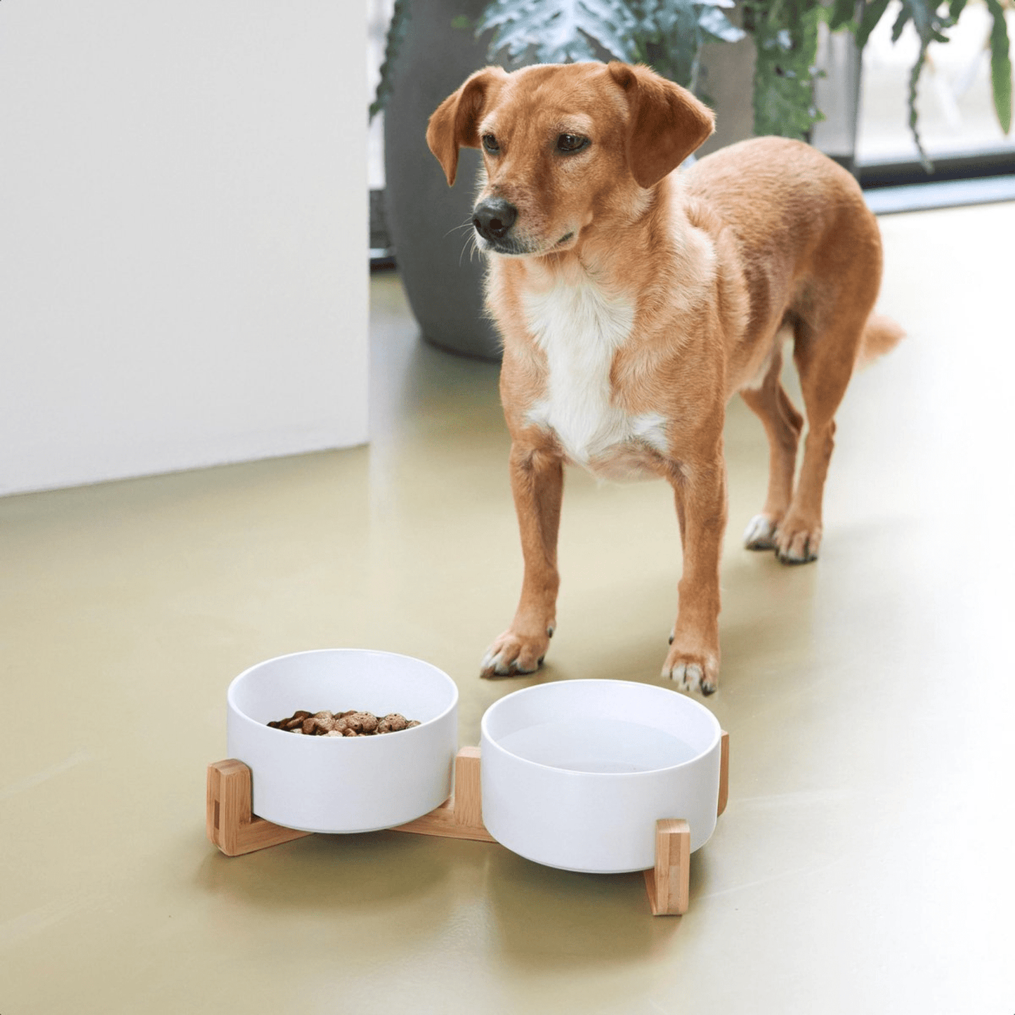 Keramische Voerbak - Set van 2