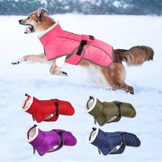 Koudebestendige Winterjas voor Honden