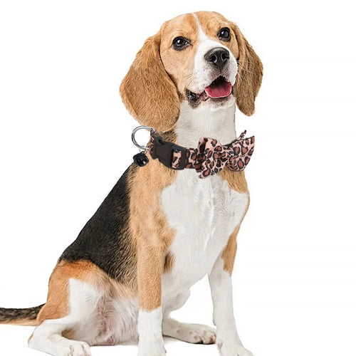 Luxe Halsband met Luipaardprint en Afneembare Strik