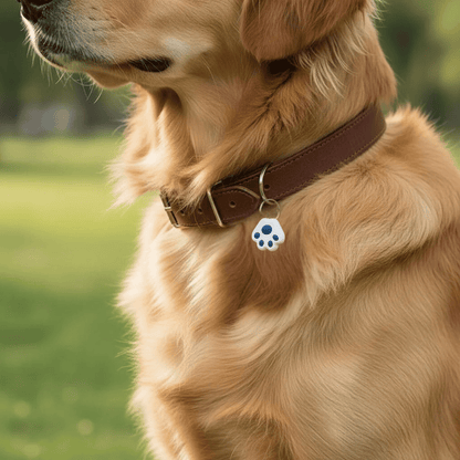 Mini Draadloze GPS Tracker