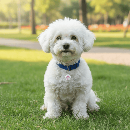 Mini Draadloze GPS Tracker