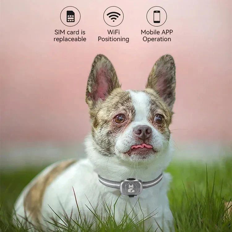 Mini GPS Tracker voor Honden en Katten – Waterdicht