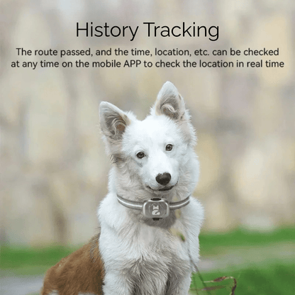 Mini GPS Tracker voor Honden en Katten – Waterdicht