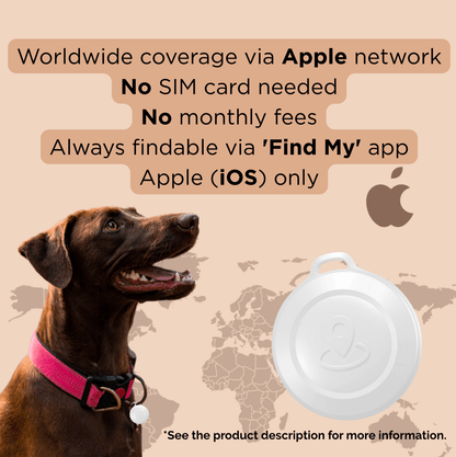 Mini GPS Tracker voor huisdieren