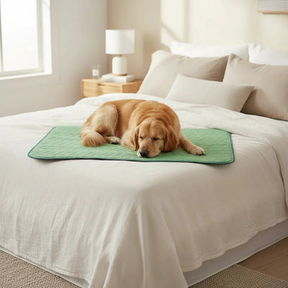 Onderlegger Bed Hondendeken – Superabsorberend Wasbaar Incontinentiekleed