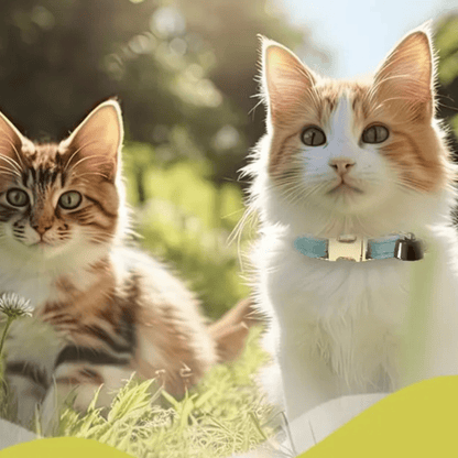 PawFind Smart Huisdier Tracker met Halsband