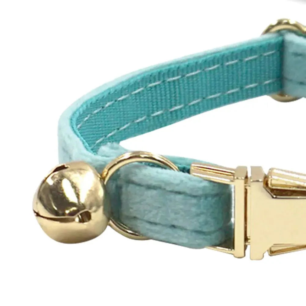 PawFind Smart Huisdier Tracker met Halsband