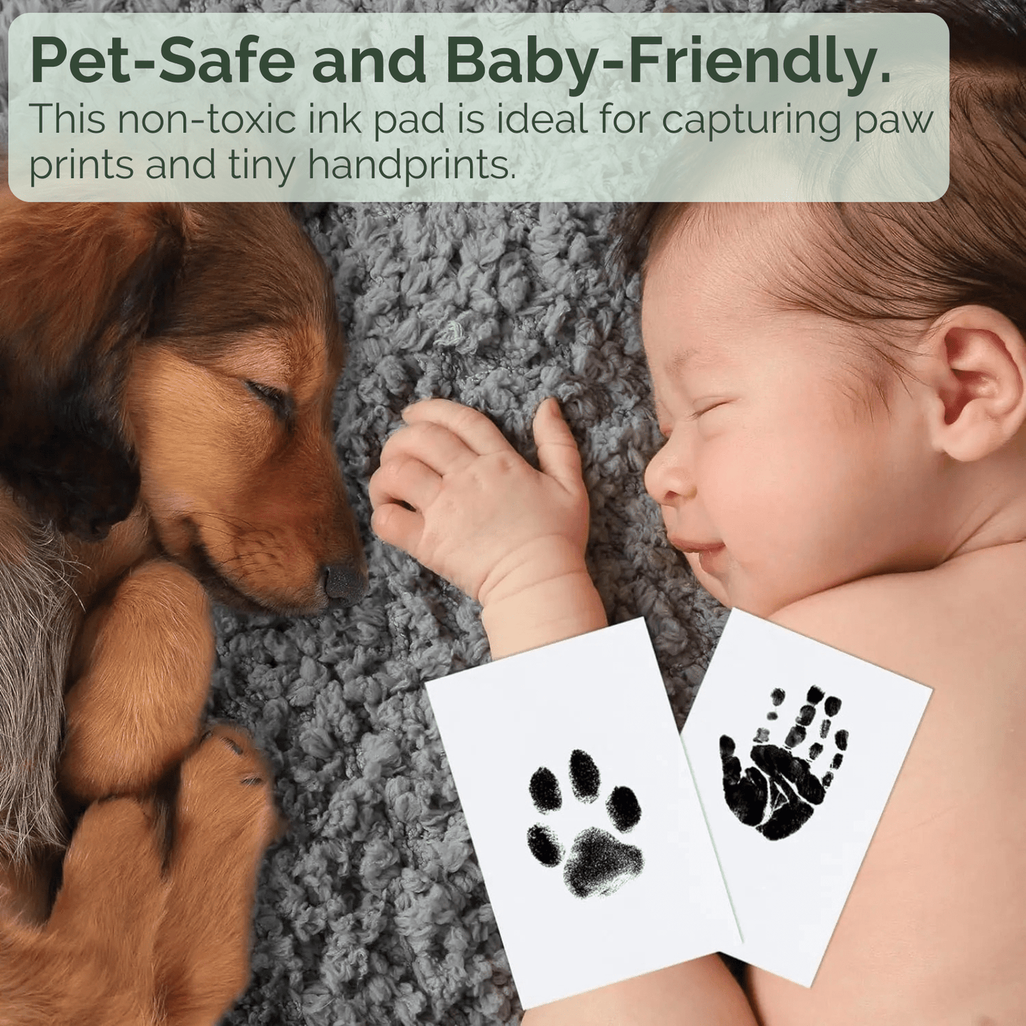 PawsPrint – Pootafdruk Inktkussen