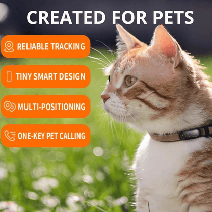 PetFind 4G GPS Tracker