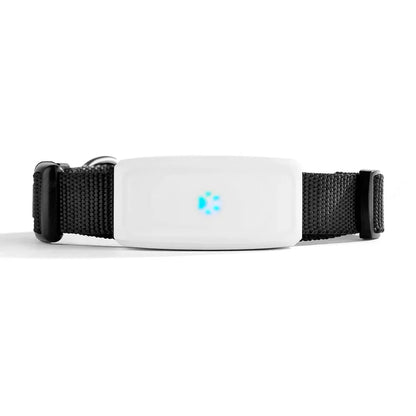 PetFind TK911 GPS Tracker