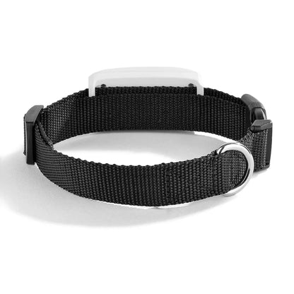 PetFind TK911 GPS Tracker
