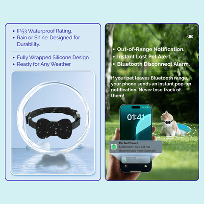 PetLocate Tracker - iOS