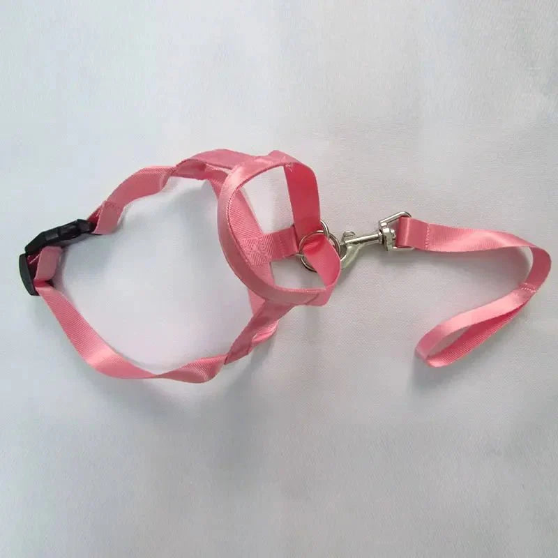 QuietFit –Muilkorf voor honden