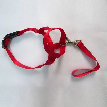 QuietFit –Muilkorf voor honden