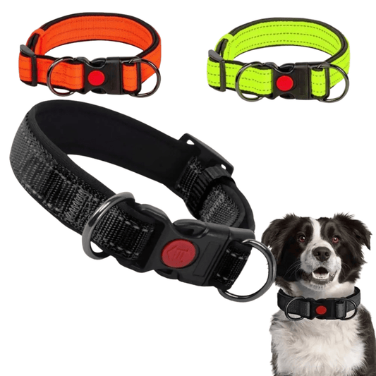 Reflecterende Halsband met Dubbele D-Ring voor Honden