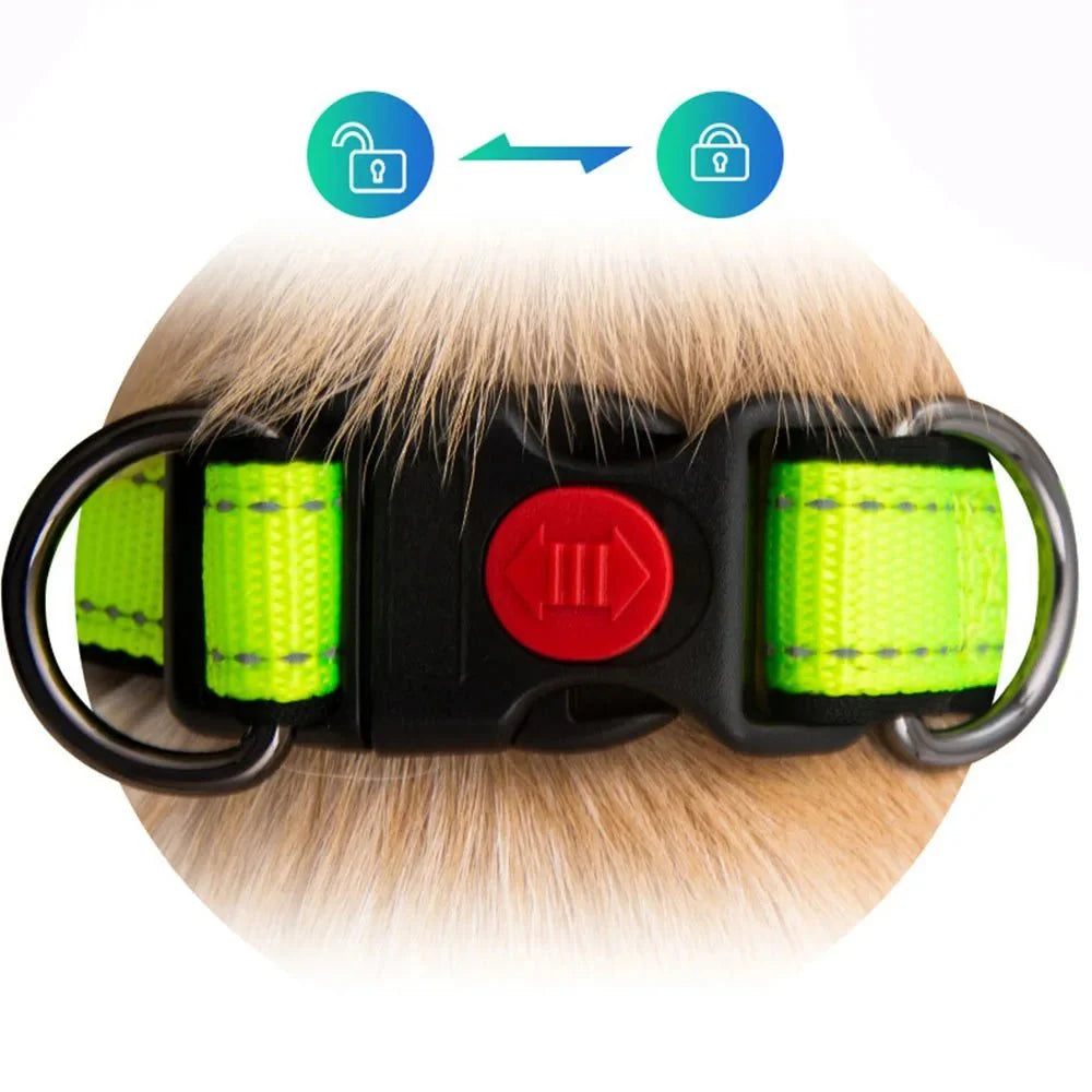 Reflecterende Halsband met Dubbele D-Ring voor Honden