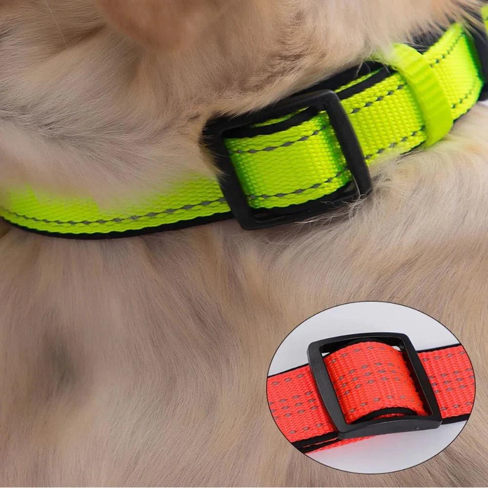 Reflecterende Halsband met Dubbele D-Ring voor Honden