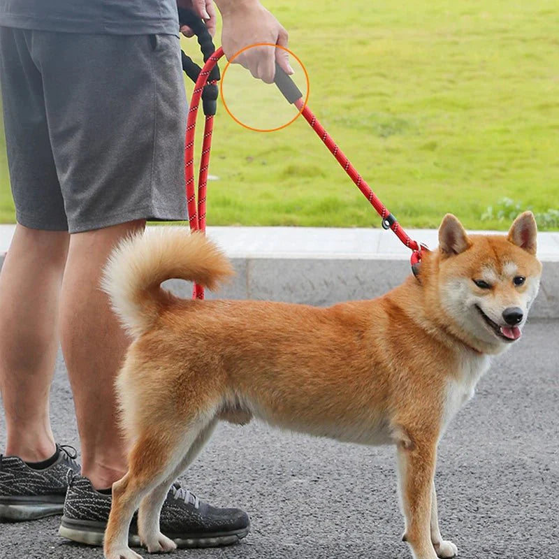 Reflecterende Riem - Sliplijn 180cm
