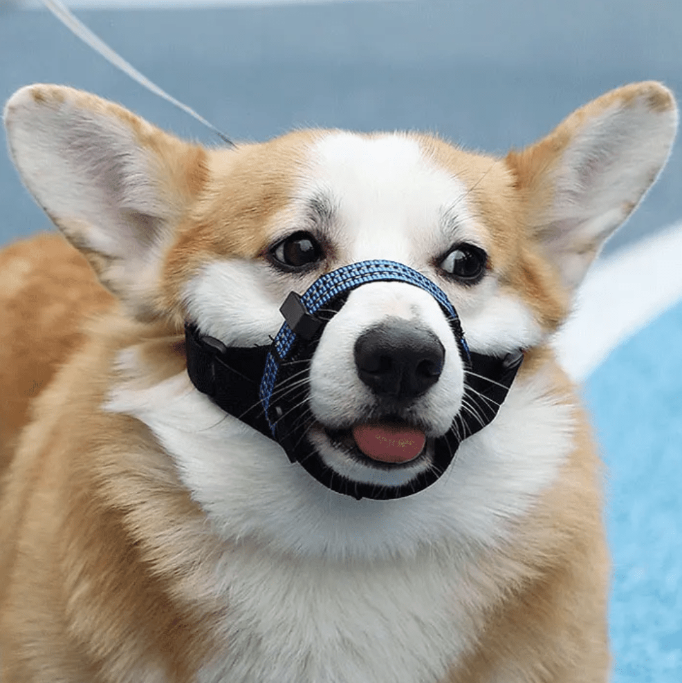 Reflecterende Tactische Muilkorf