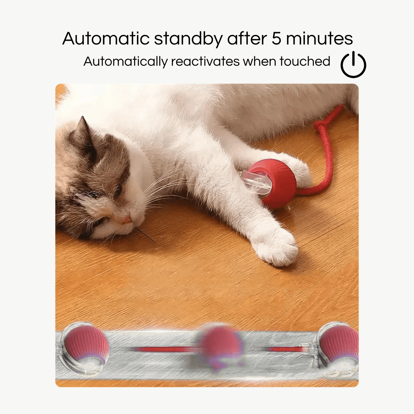 Roll & Play - Interactieve Bal