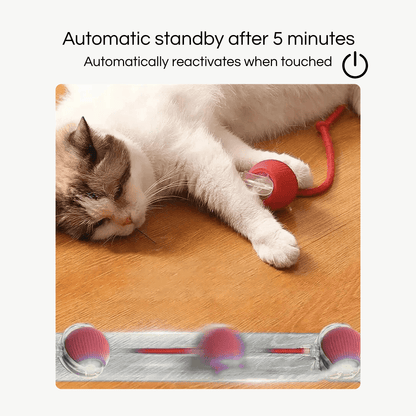 Roll & Play - Interactieve Bal