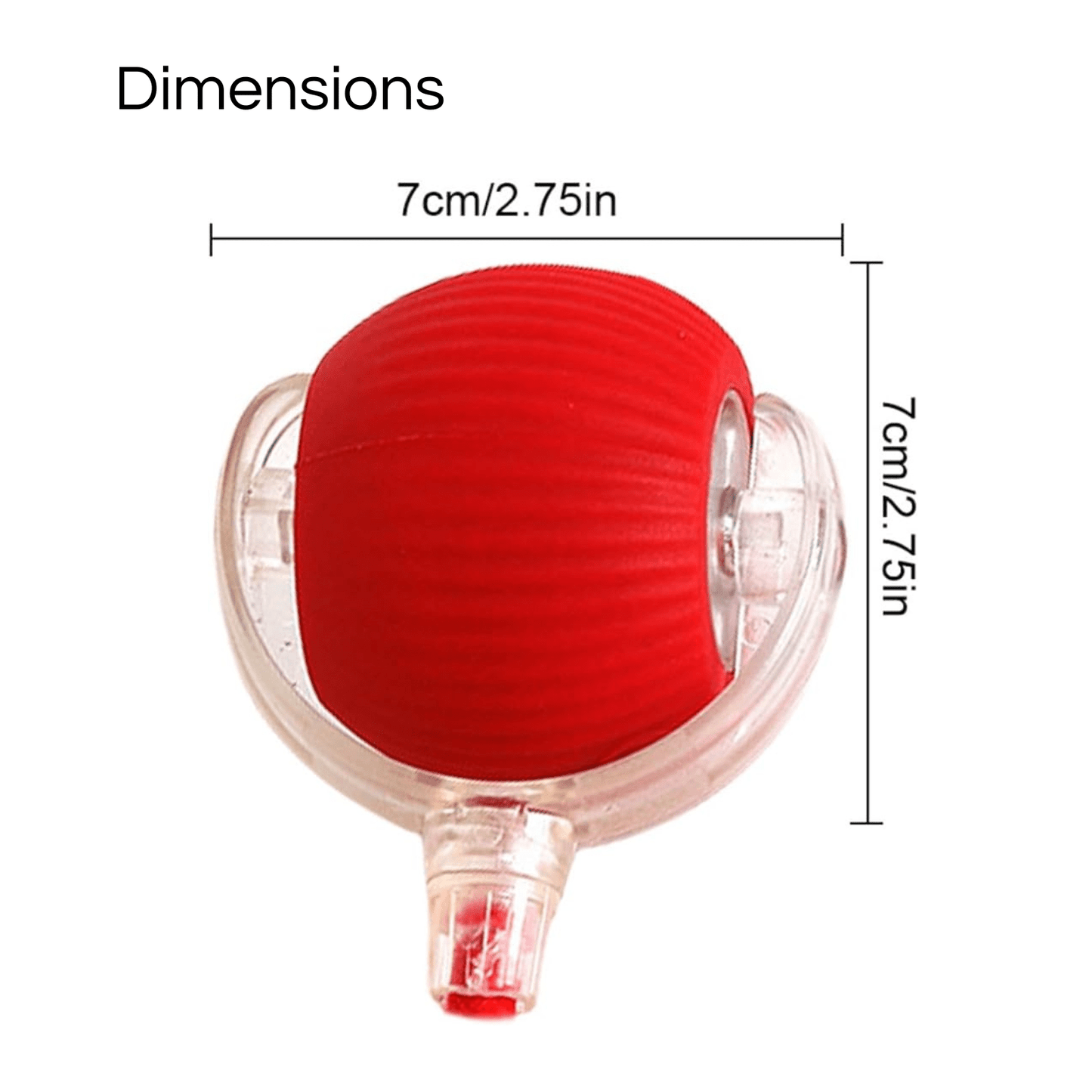 Roll & Play - Interactieve Bal