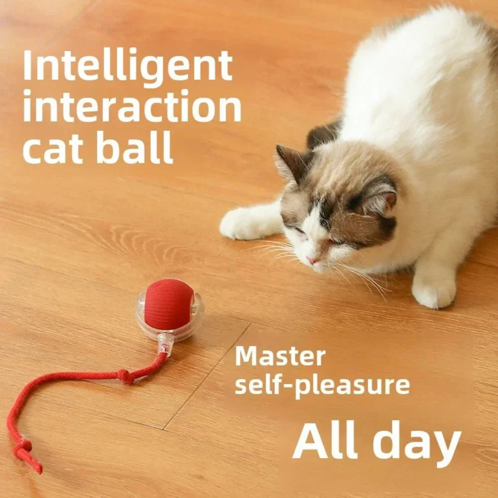 Roll & Play - Interactieve Bal