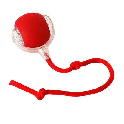 Roll & Play - Interactieve Bal