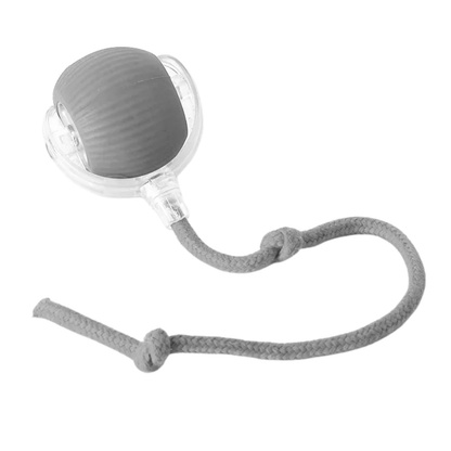 Roll & Play - Interactieve Bal