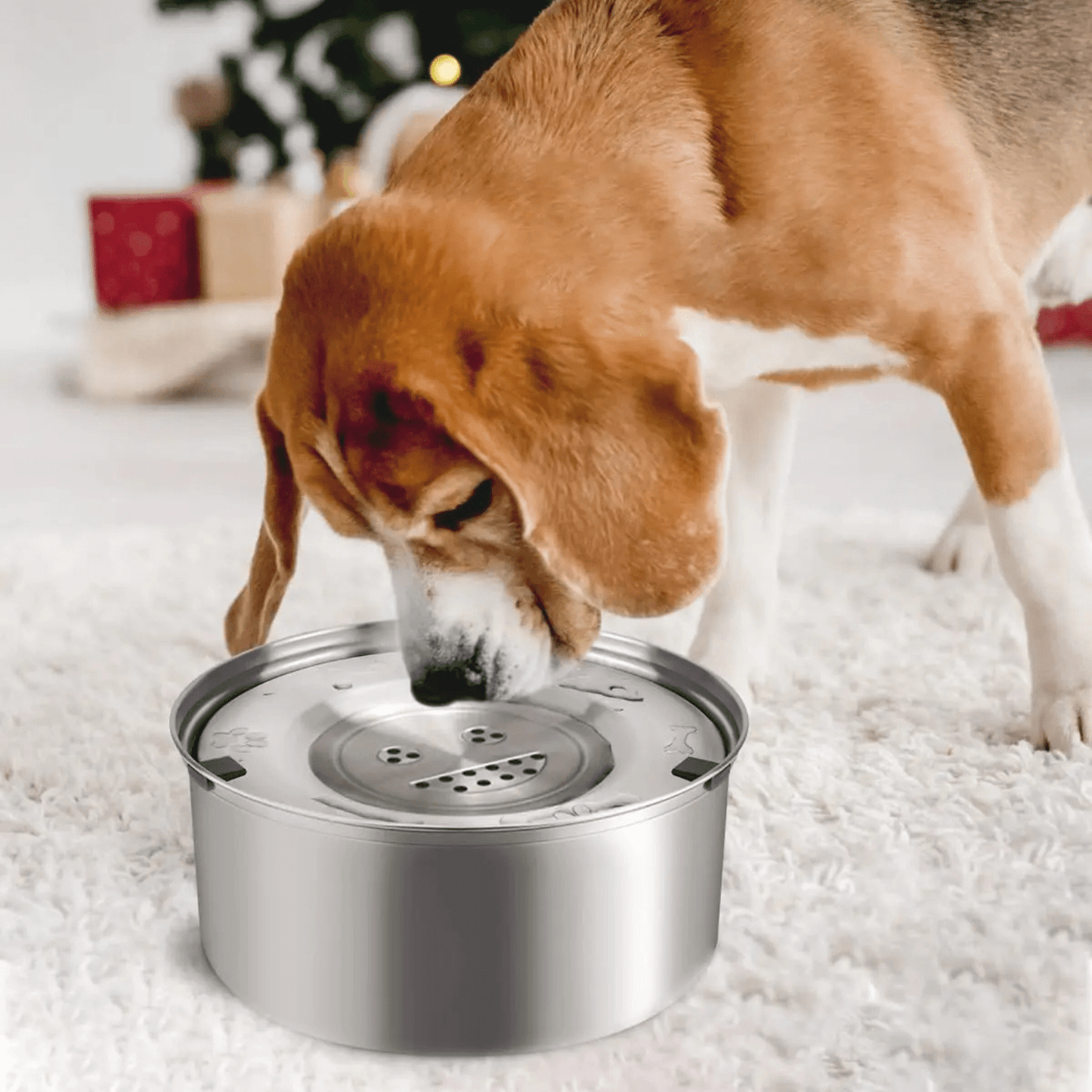 RVS Anti-Mors Waterbak voor Honden – 1L of 3L
