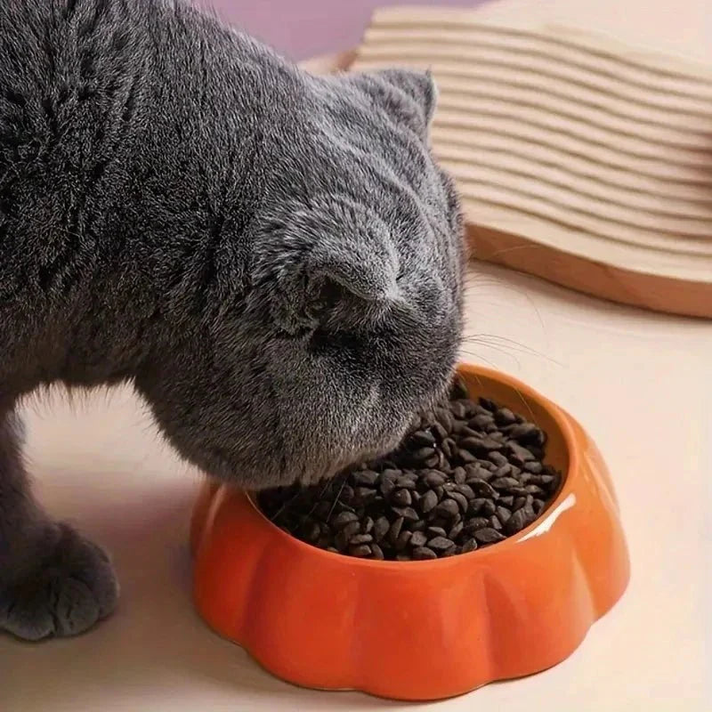 Schattige Keramische Voerbakken voor Kat en  Hond
