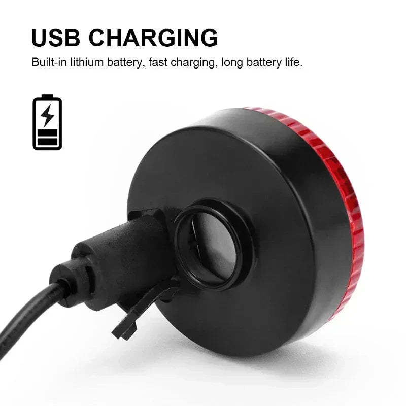 ShinePet LED Halsbandhanger Oplaadbaar