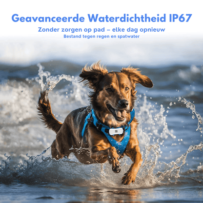 Slimme 4G GPS Tracker voor je Huisdier