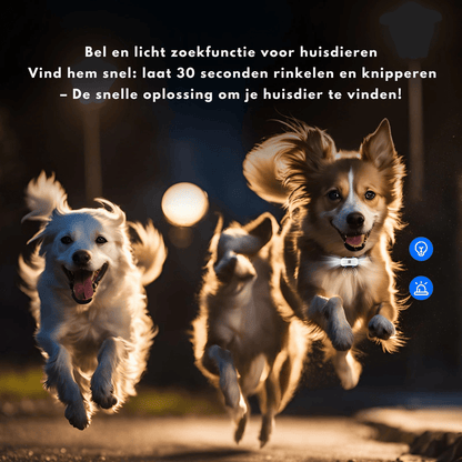 Slimme 4G GPS Tracker voor je Huisdier