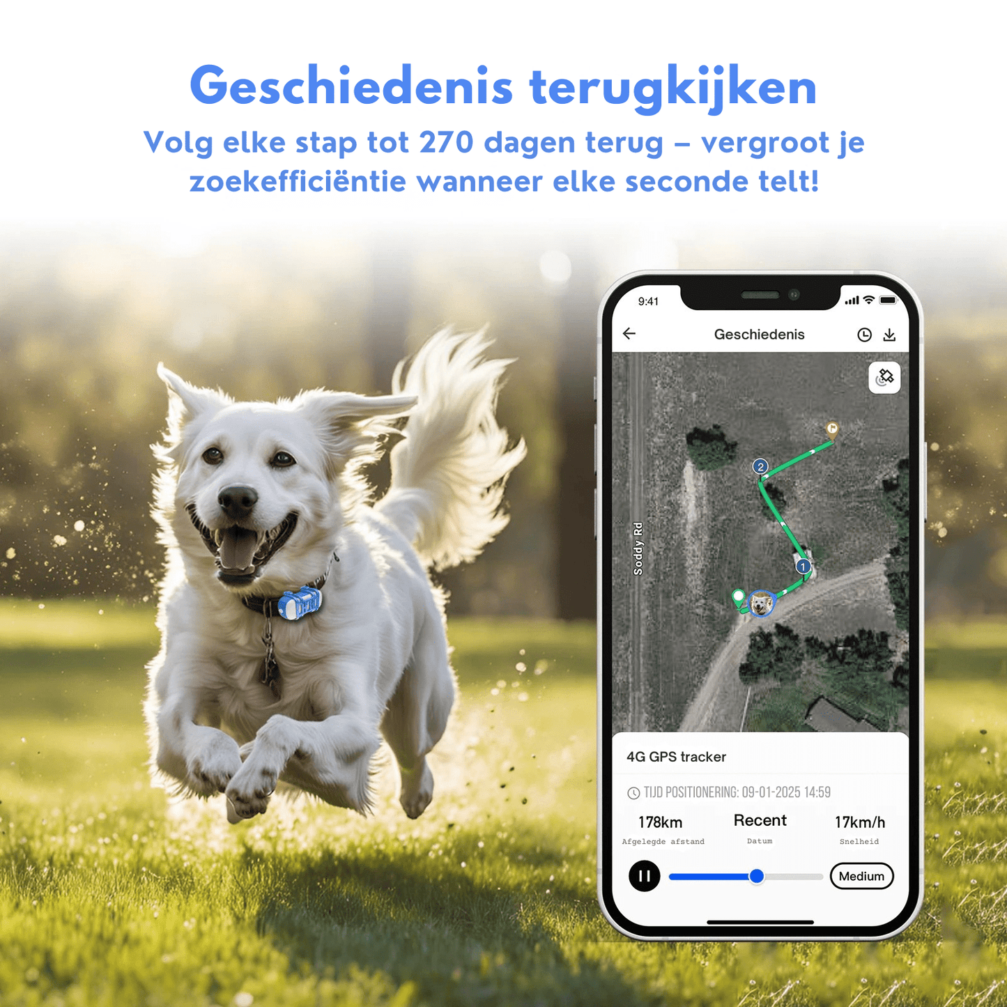 Slimme 4G GPS Tracker voor je Huisdier
